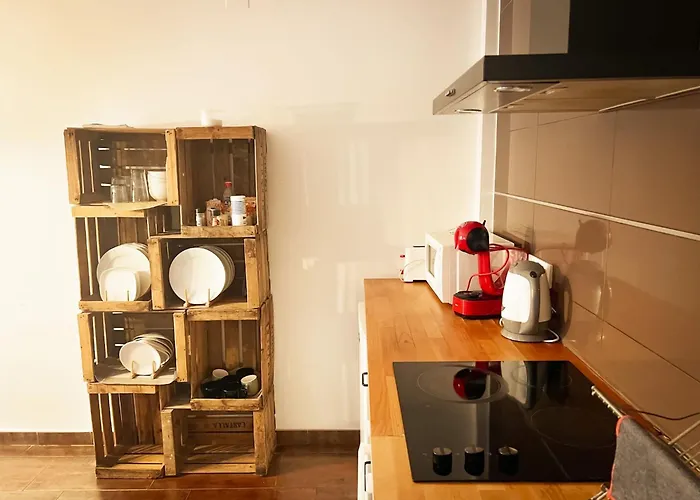 Mush Rooms Apartments Alicante